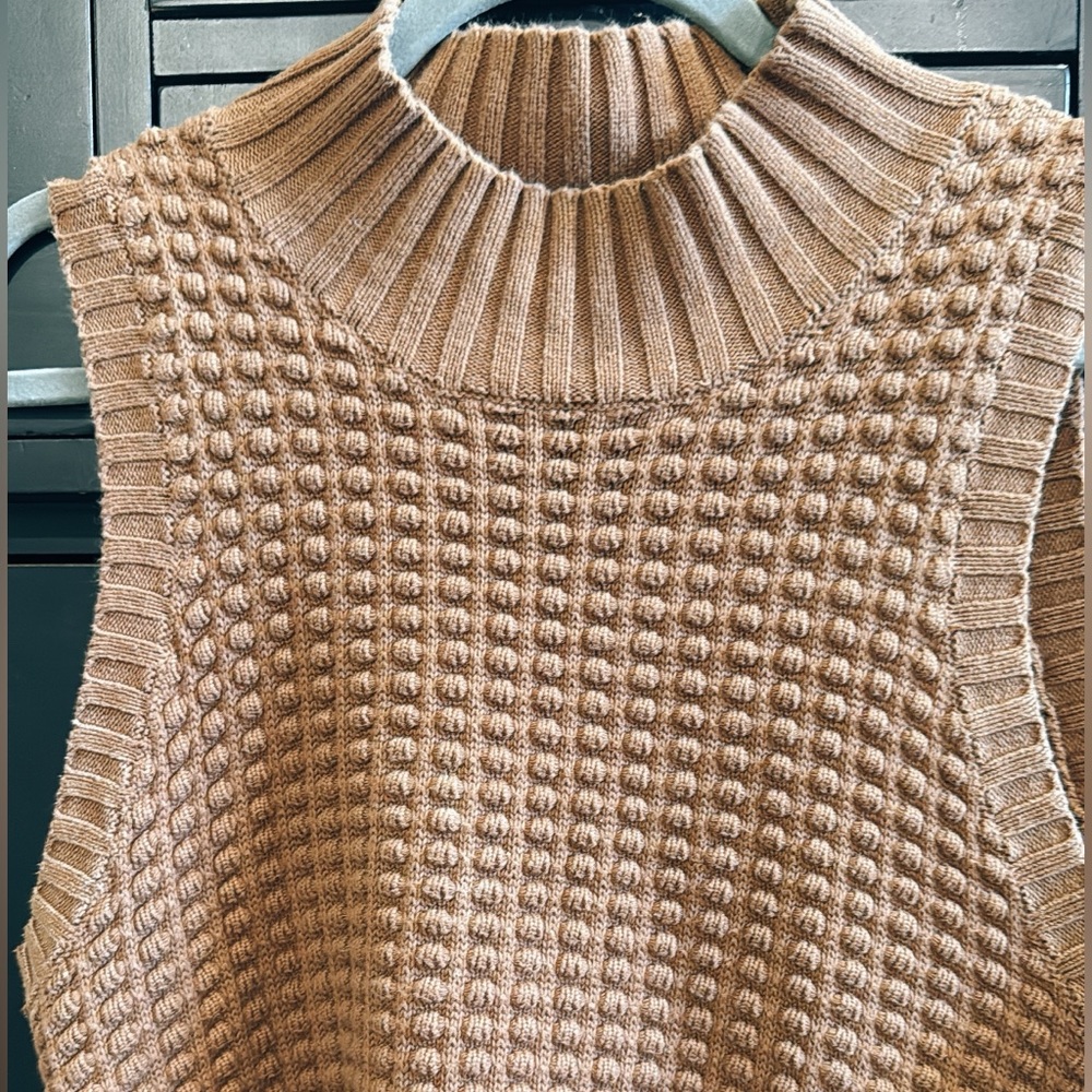 Brown Sleeveless Knit Sweater: French connection - Picture 10 of 12